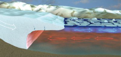 A warming trend