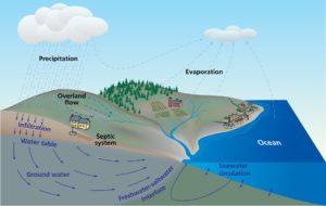Water Cycle - Woods Hole Oceanographic Institution