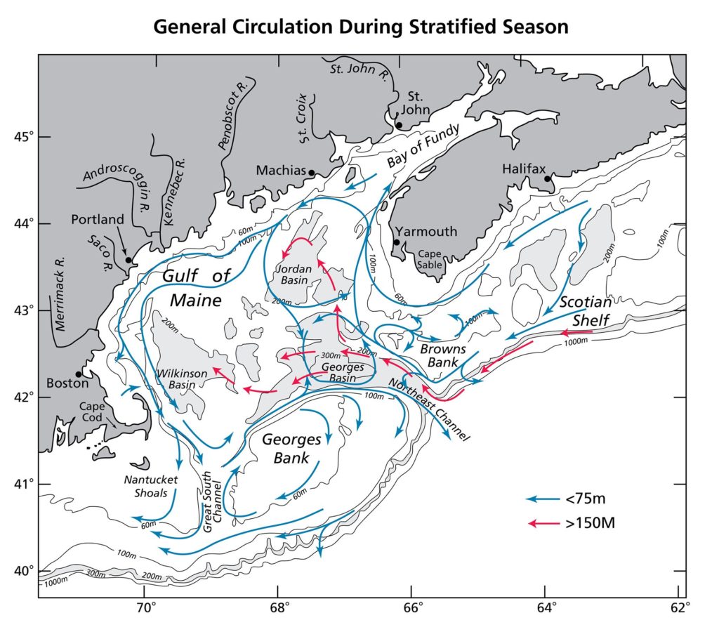 Gulf of Maine Currents Map