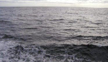 Ocean