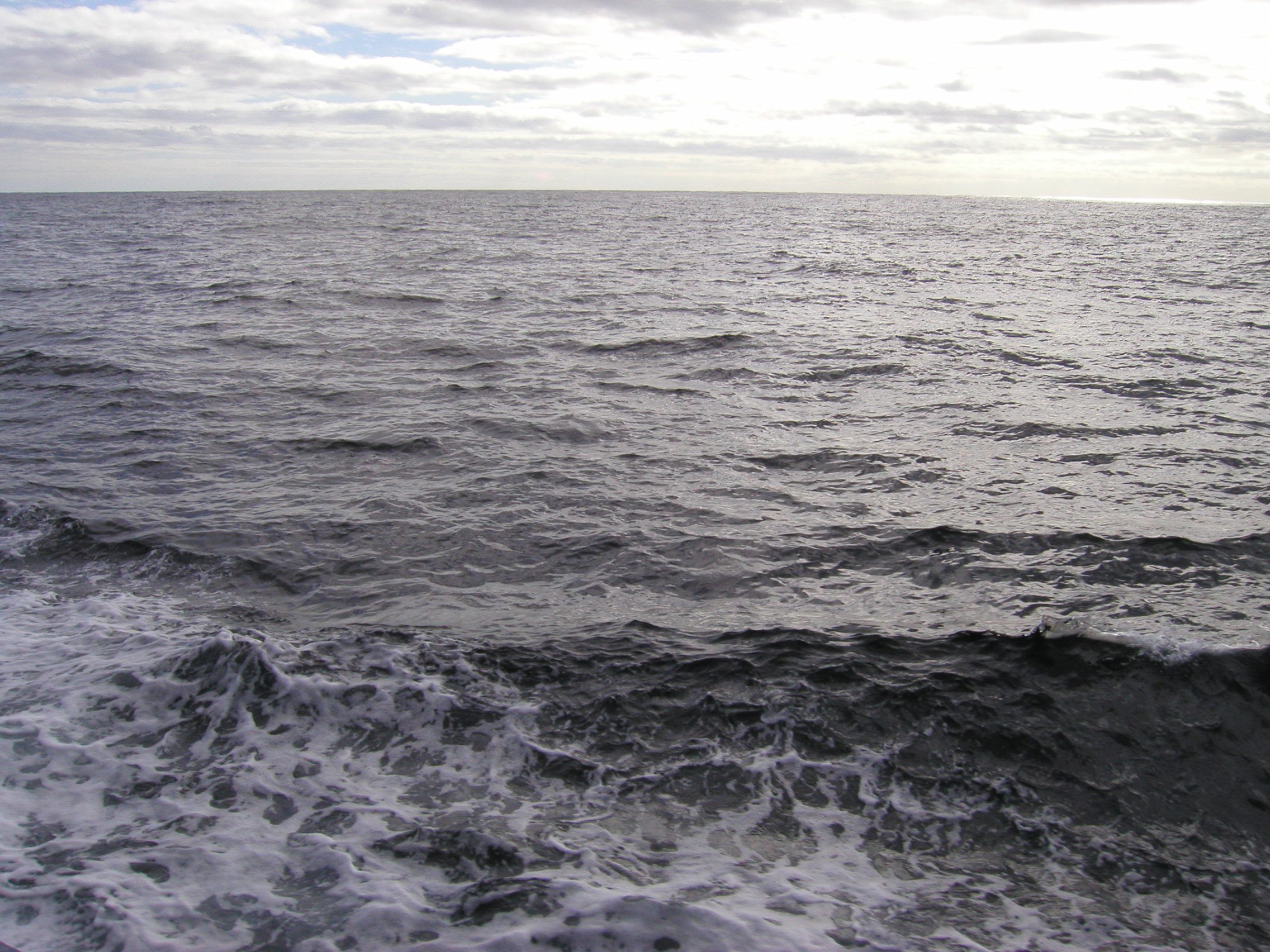 Ocean