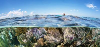 underwater paddle board