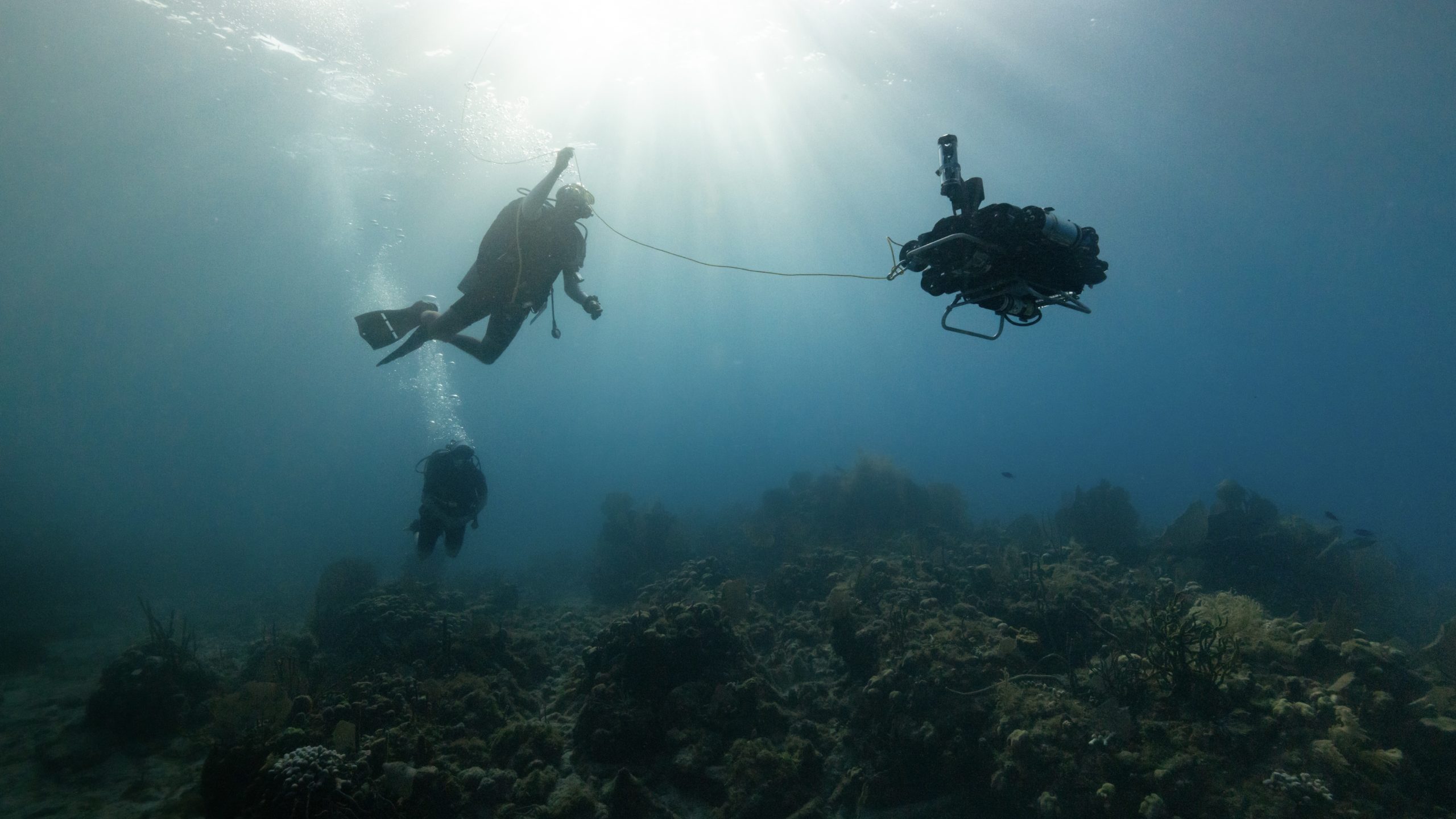TekTite Computer scientist Yogesh Girdhar descends with the WARP-AUV, or "Curious Robot," to run animal tracking tests over Tektite Reef in St. John, U.S. Virgin Islands. (Photo by: Dan Mele, © Woods Hole Oceanographic Institution)