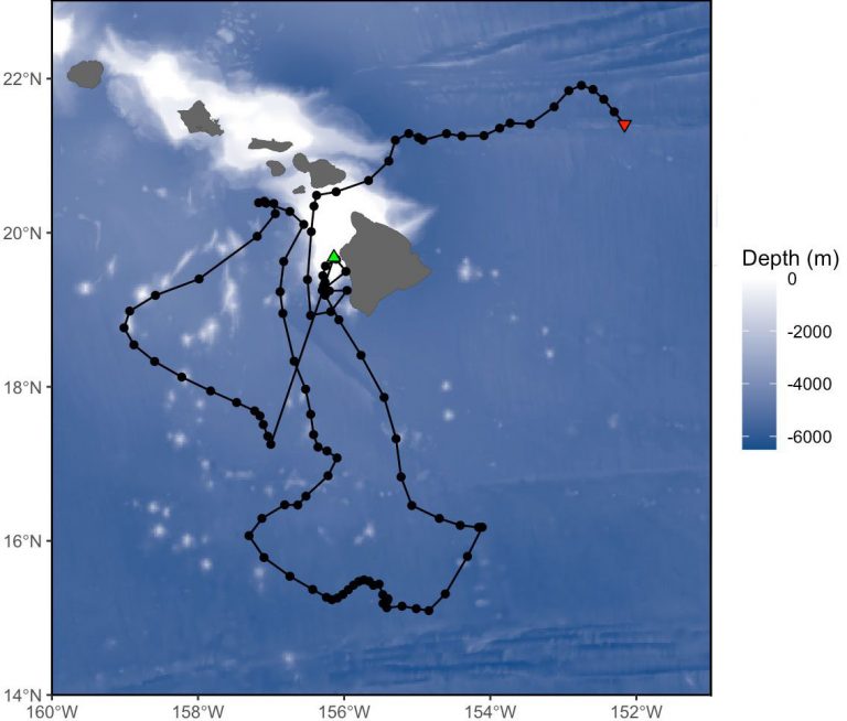 Tracking big fish at fine scales - Woods Hole Oceanographic Institution