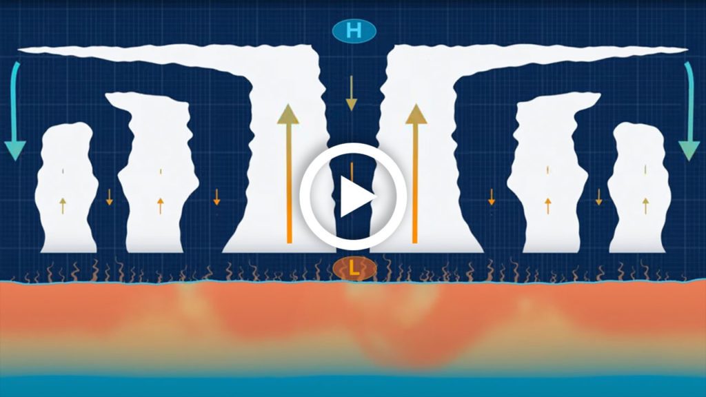 hurriance animation
