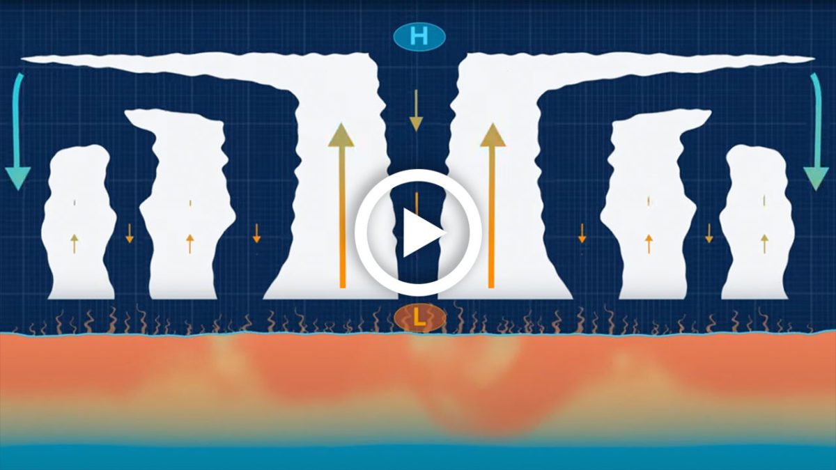 hurriance animation