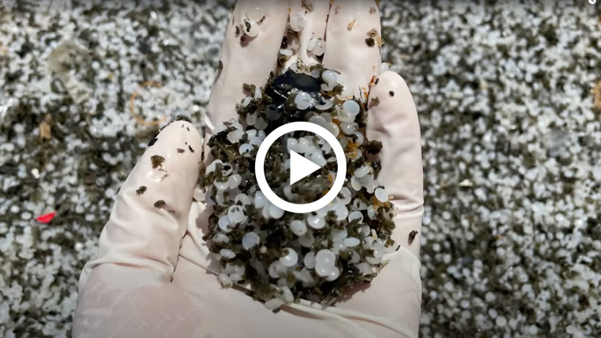 microplastics