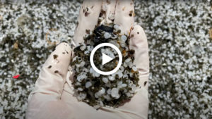 microplastics