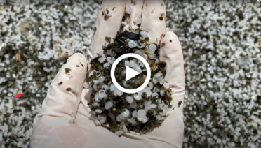 microplastics