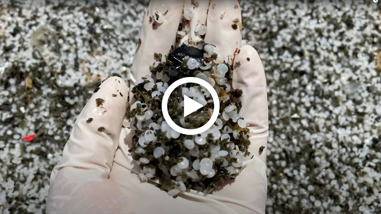 microplastics