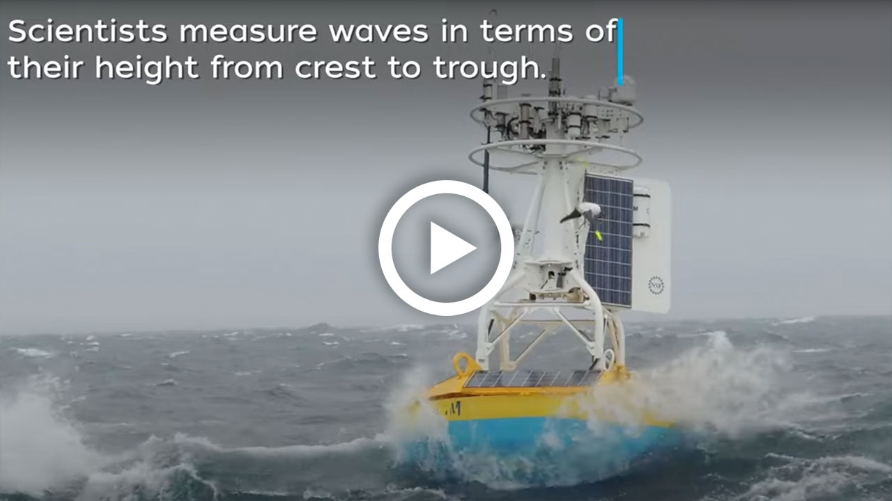 buoy in waves