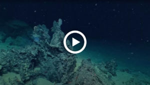 underwater
