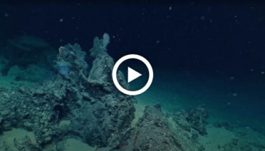 underwater