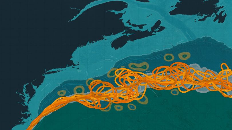 Gulf Stream ocean currents