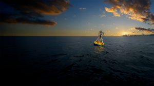 buoy