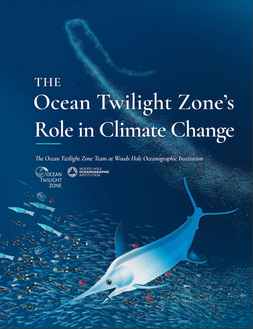 OTZ Report - Role in Climate