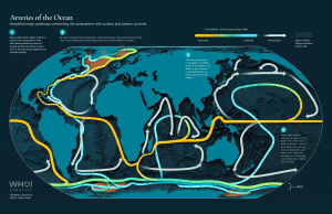 arteries of the ocean