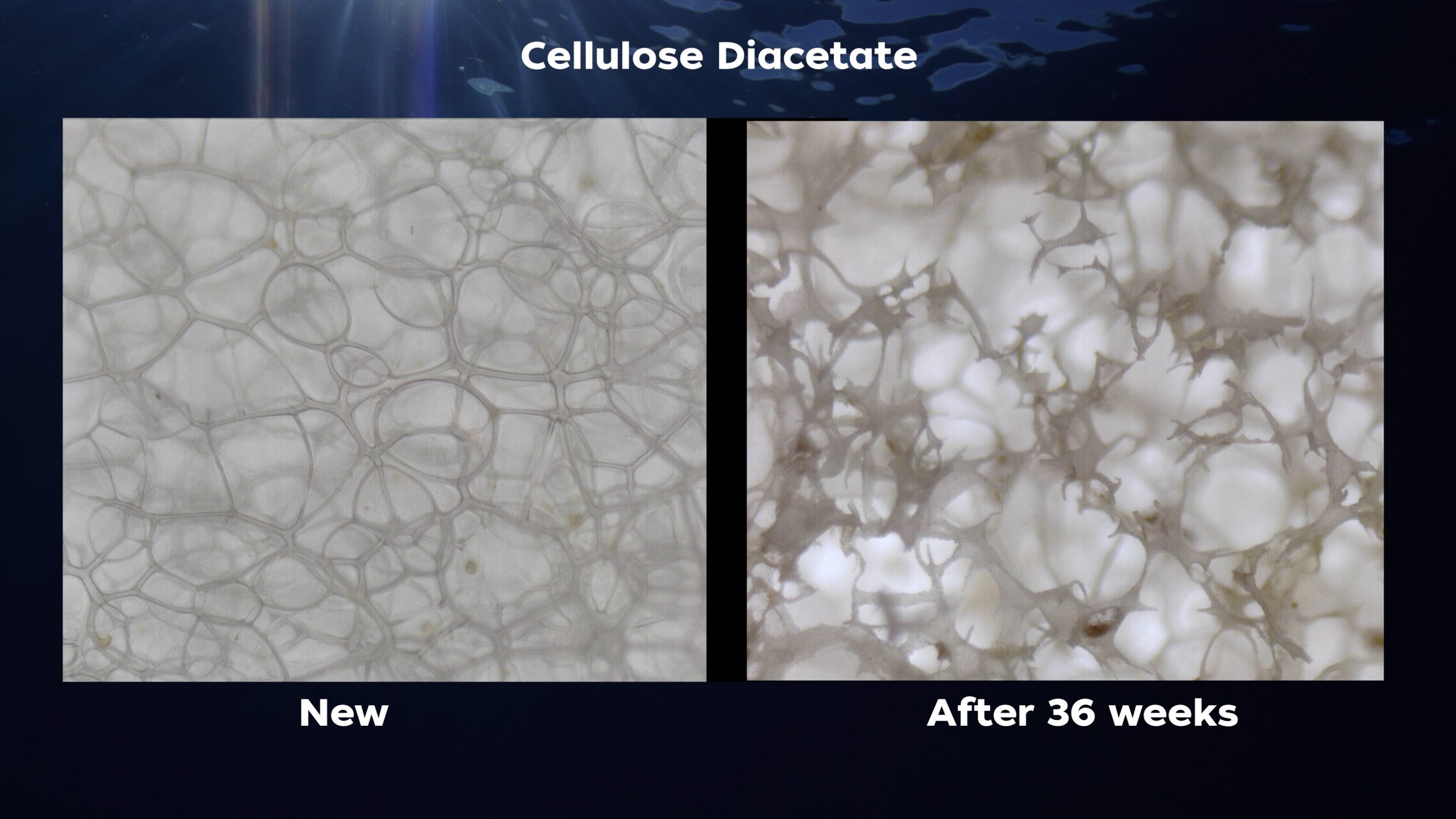 Cellulose Diacetate Side by Side
