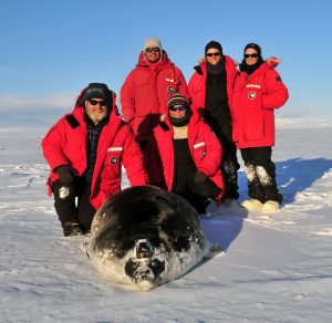 Research team and a weddell seal