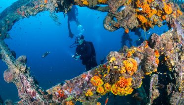 AdobeStock_232412051