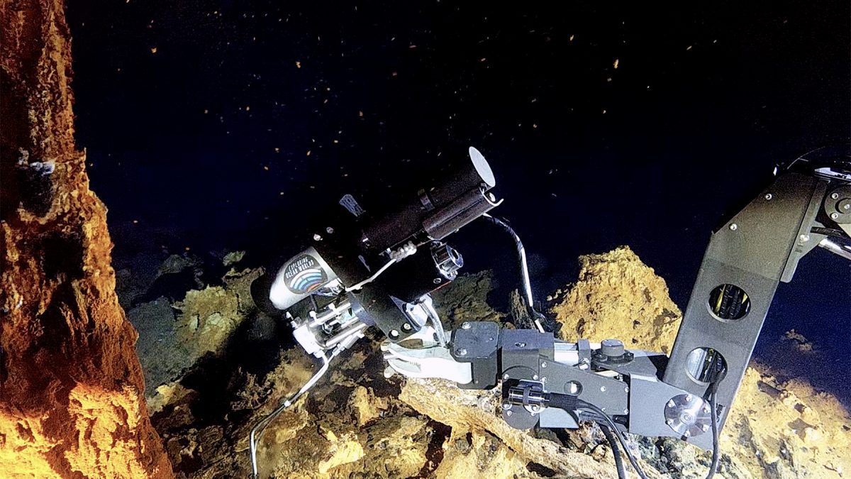 NUI Robot Arm