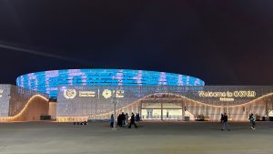 COP 29