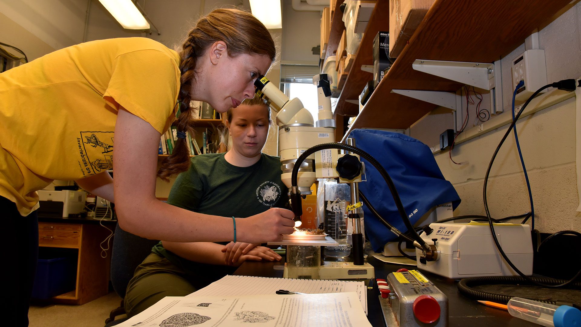Kirstin Meyer Kaiser's Lab