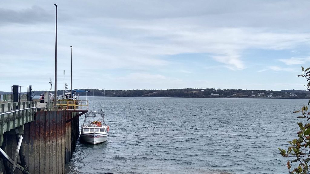 In 2012, a long-lasting marine heatwave wreaked havoc on Maine’s aquatic life and fishing industry. At times, water temperatures were nearly 40°F above average. (Photo credit: Rachel Mann)