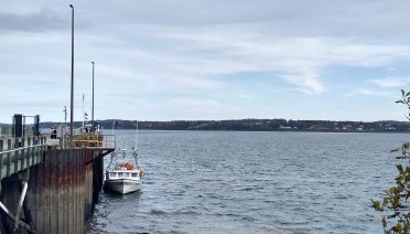 In 2012, a long-lasting marine heatwave wreaked havoc on Maine’s aquatic life and fishing industry. At times, water temperatures were nearly 40°F above average. (Photo credit: Rachel Mann)