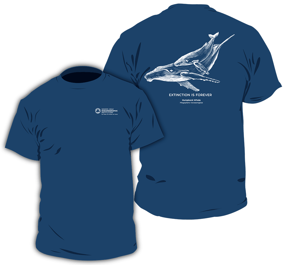 humpback whale t-shirt