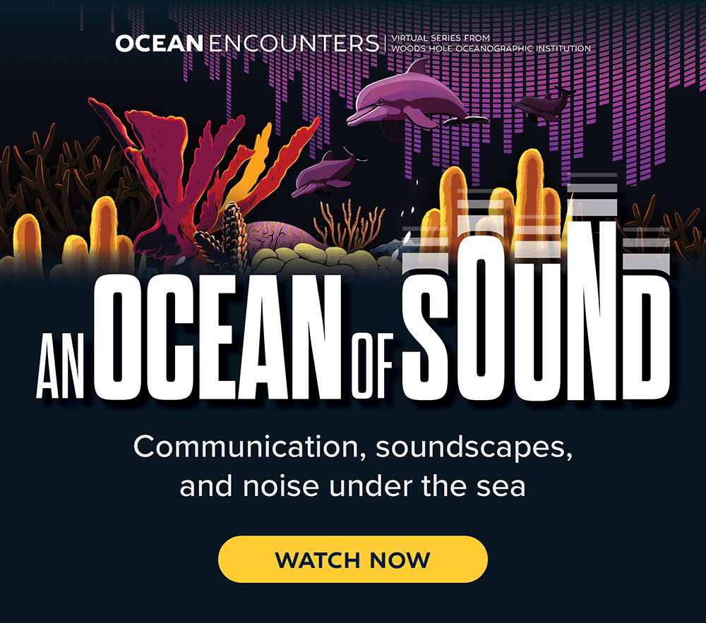 An Ocean of Sound Watch Now