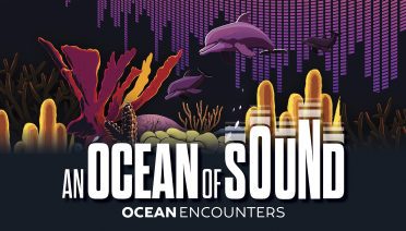 an ocean of sound