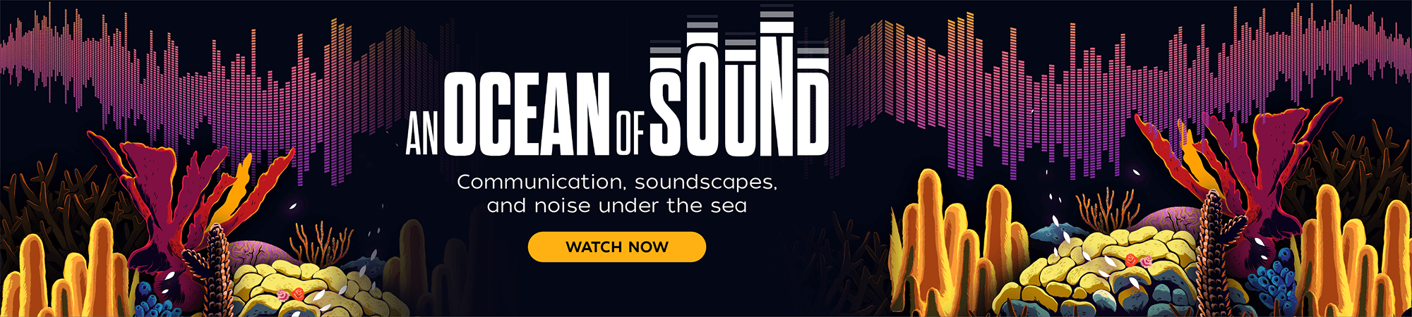 Ocean of Sound Watch Now