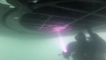 WHOI Diver