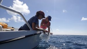 Water sampling
