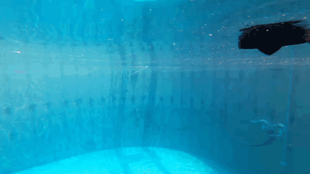 Engineers test a prototype of the line seeder in WHOI's Sundance tank. (GIF courtesy of Robin Littlefield, © Woods Hole Oceanographic Institution)