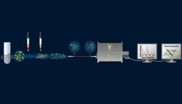 Mass Spec process to compare and contrast the compounds produced by different phytoplankton