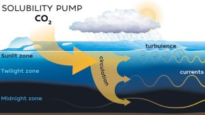 CO2 solubility pump