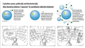 Quorum sensing