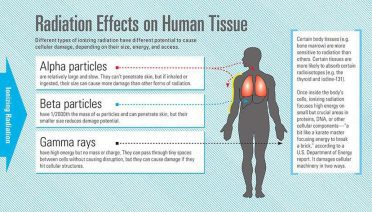 radiation effects on human tissue