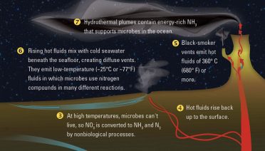 How a hydrothermal vent system works