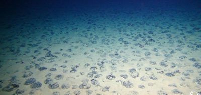 Woods Hole Oceanographic Institution