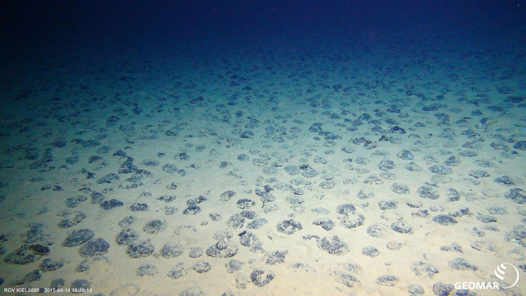 Woods Hole Oceanographic Institution