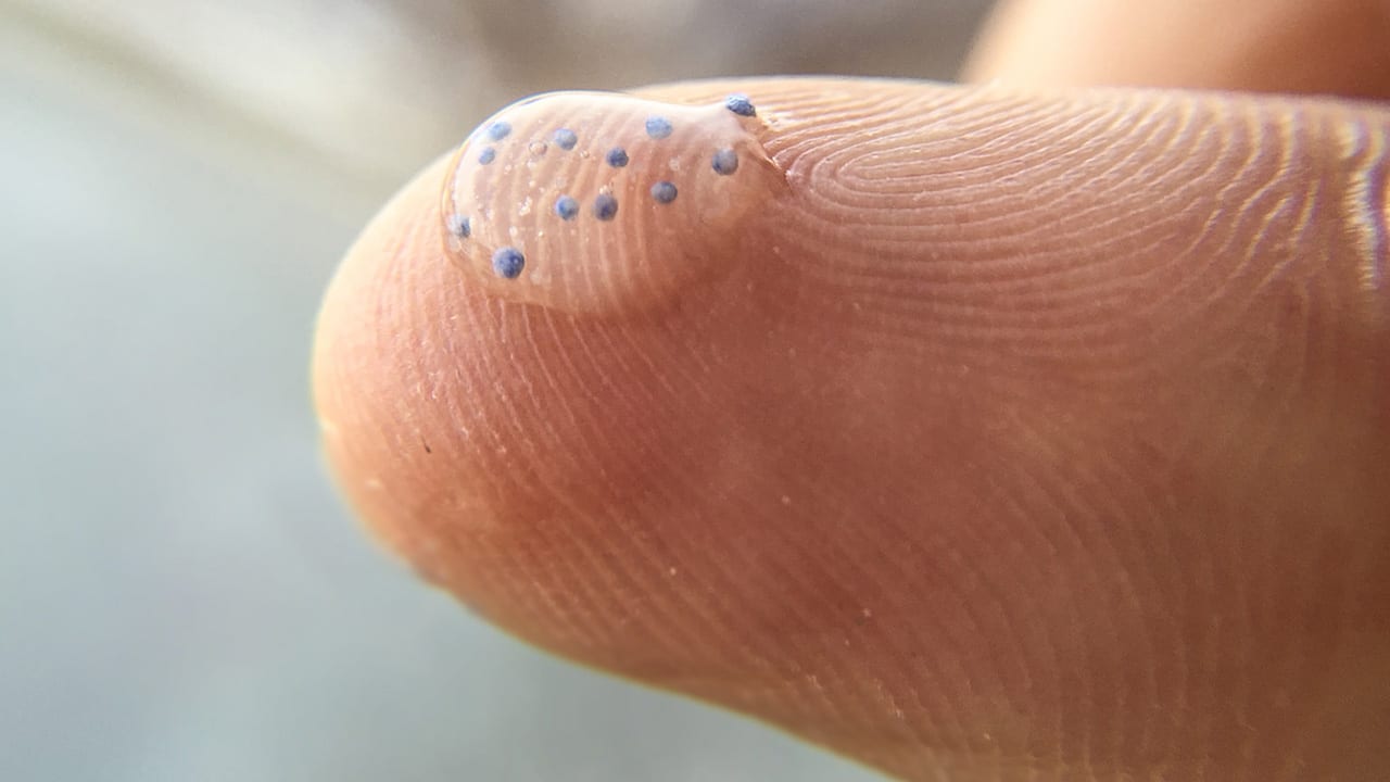 microbeads