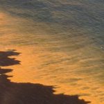 A “red tide” of blooming algae (the dinoflagellate Noctiluca scintillans)