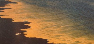 A “red tide” of blooming algae (the dinoflagellate Noctiluca scintillans)