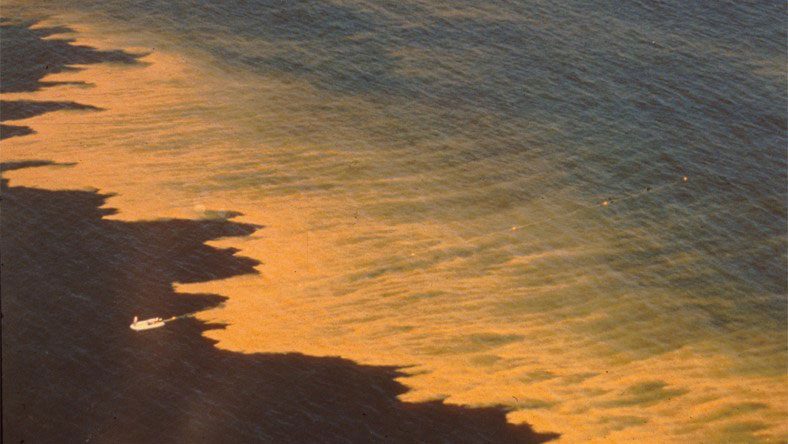 A “red tide” of blooming algae (the dinoflagellate Noctiluca scintillans)