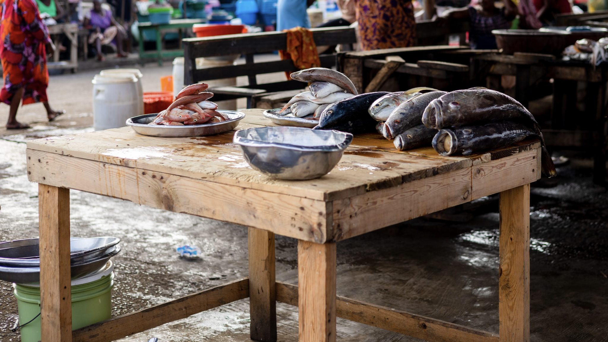 For developing countries, seafood imports are a nutritional bargain