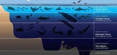 ocean zones