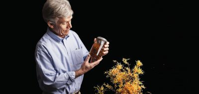 WHOI senior scientist Dennis McGillicuddy holds a jarred Sargassum sample